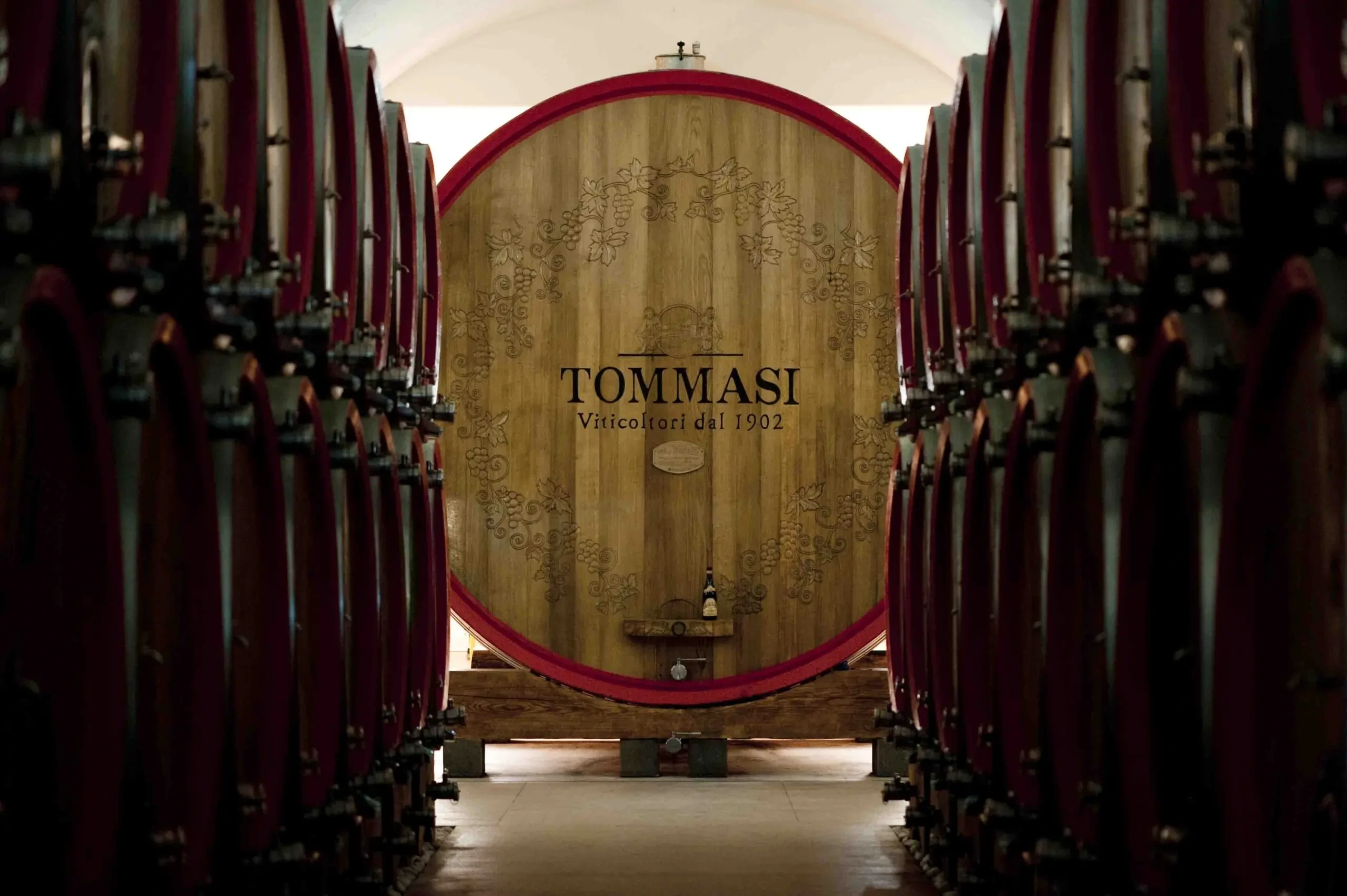 Tommasi Vini