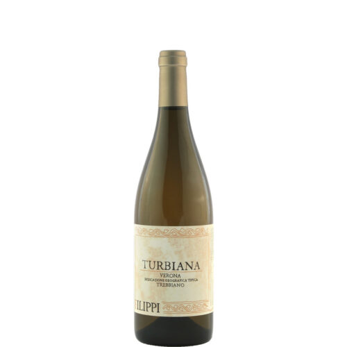 Trebbiano Turbiana 2019 Winery Filippi