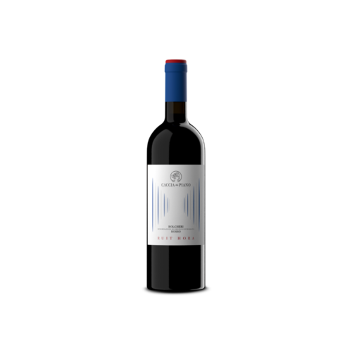 Ruit Hora Caccia Al Piano Bolgheri Rosso DOC 2020 Cl 75